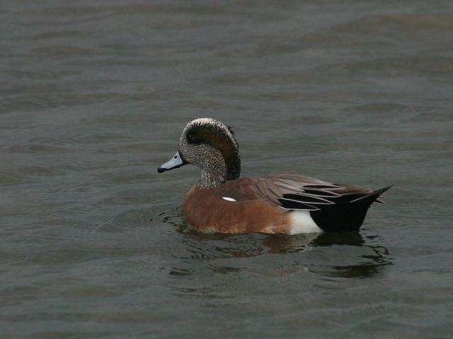 2004-11-05-044.jpg