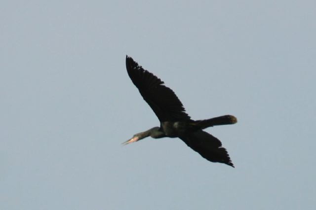 2005-09-04-170.jpg