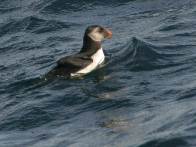 2003-10-01-125.jpg