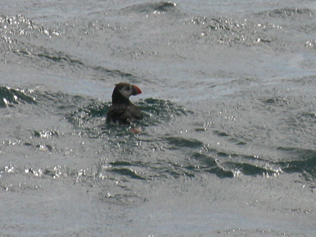 2004-09-03-152.jpg