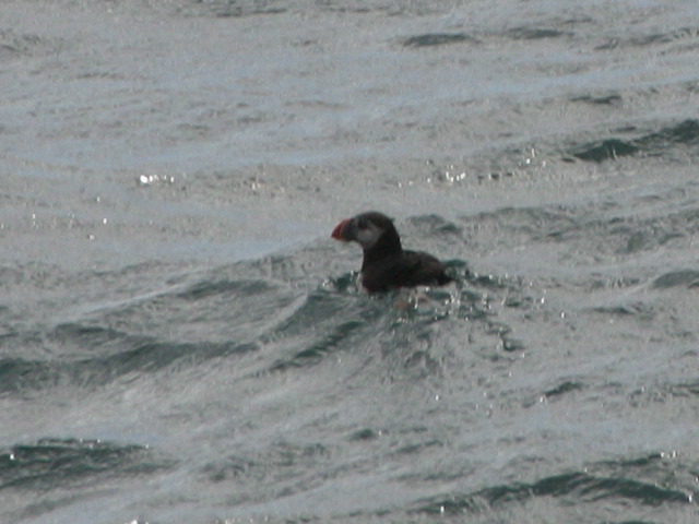 2004-09-03-153.jpg