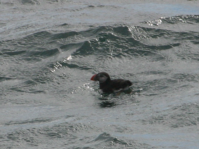 2004-09-03-154.jpg
