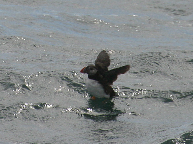 2004-09-03-155.jpg