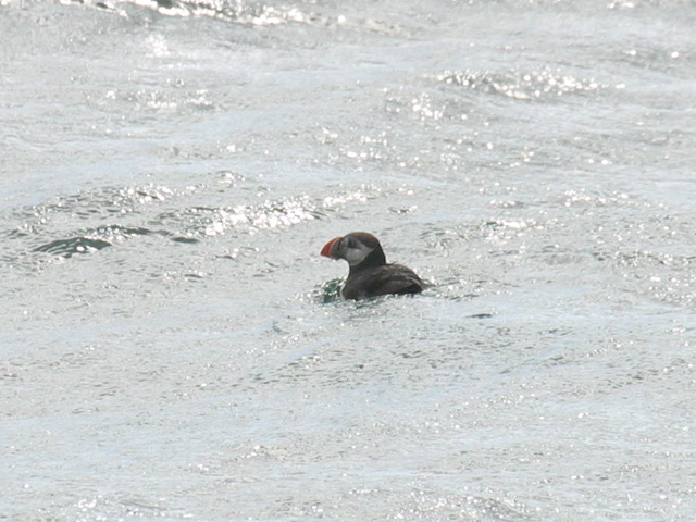 2004-09-03-156.jpg