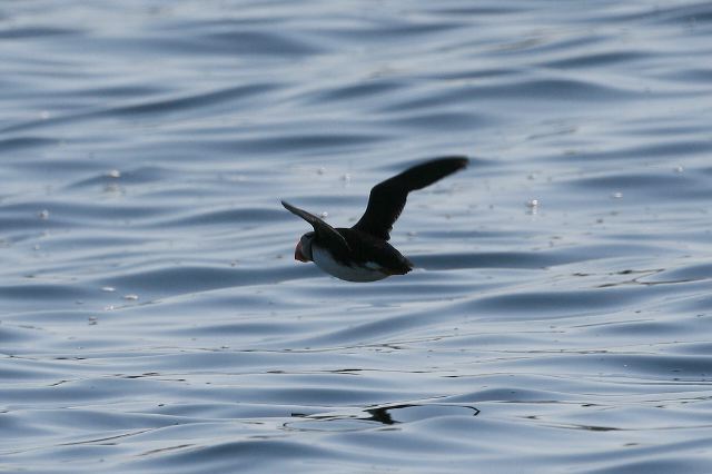 2011-06-02-0369.jpg