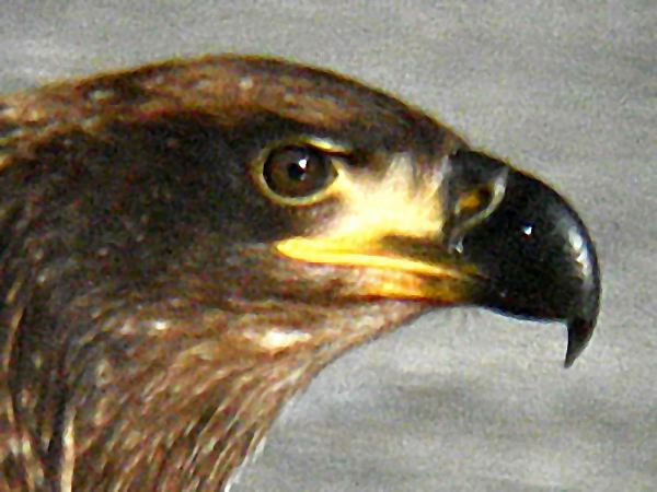 2003-12-01-101a.jpg