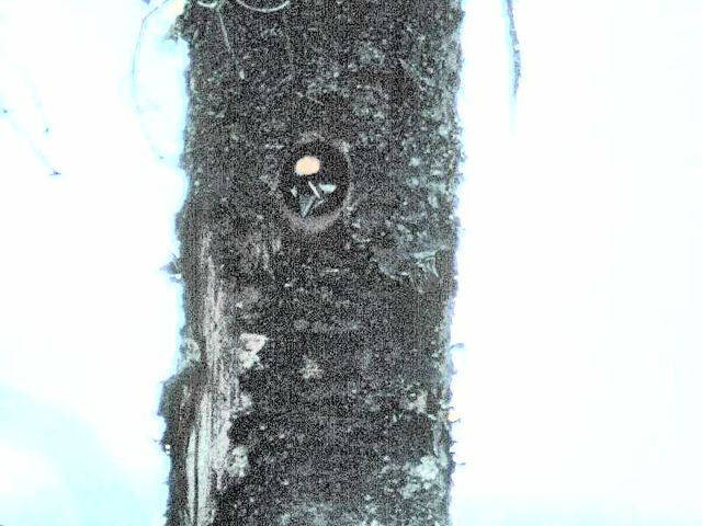 020_20.jpg