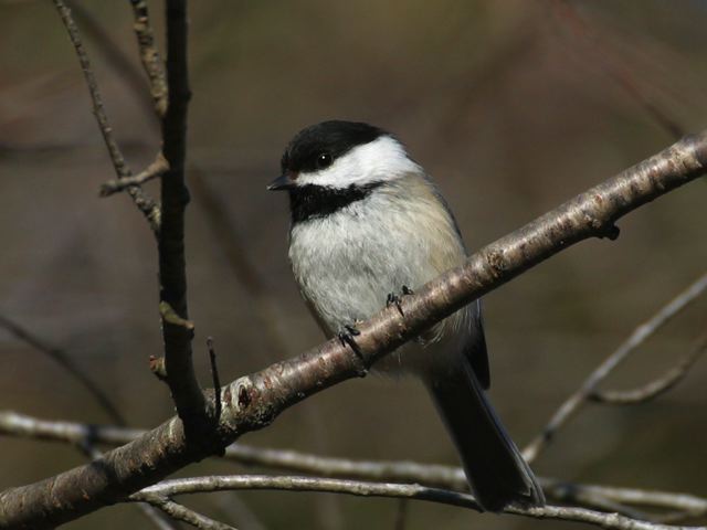 2005-03-03-23.jpg