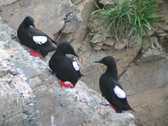 2005-07-04-045.jpg