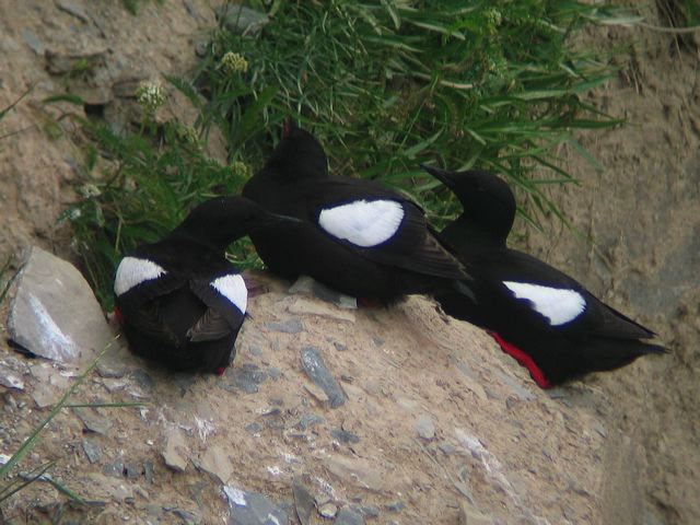 2005-07-04-079.jpg
