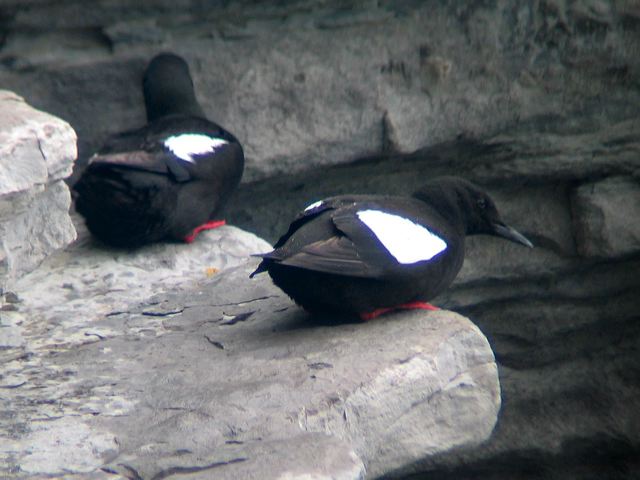 2005-07-04-233.jpg