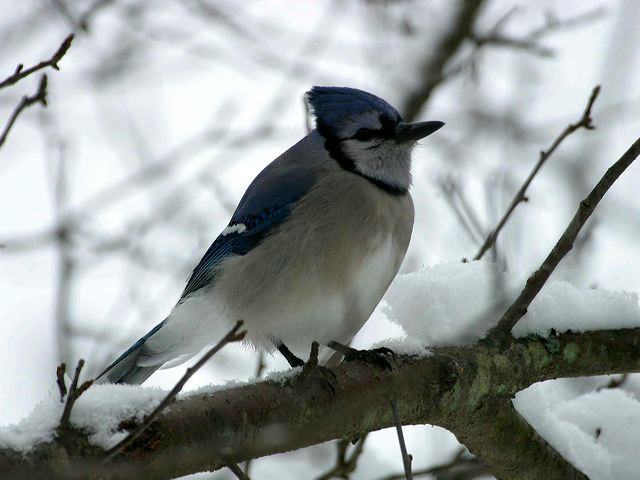 2002-12-01-014.jpg