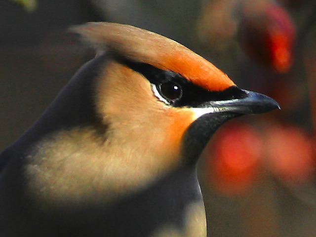 2004-03-02-086.jpg