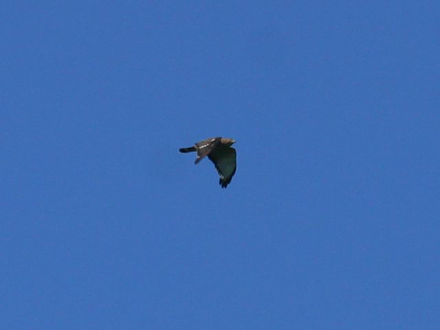 2004-07-02-022.jpg