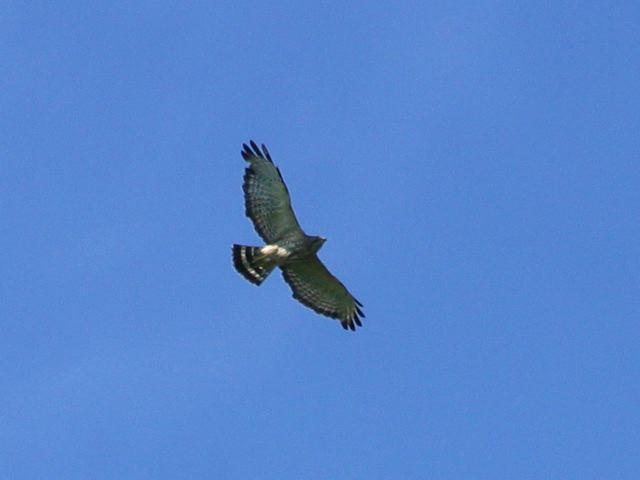 2004-07-02-036.jpg