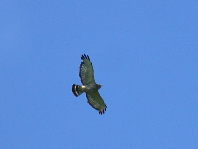 2004-07-02-037.jpg