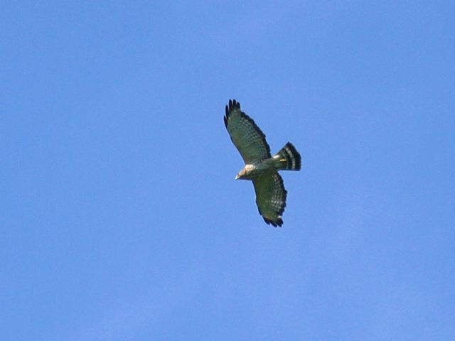 2004-07-02-042.jpg