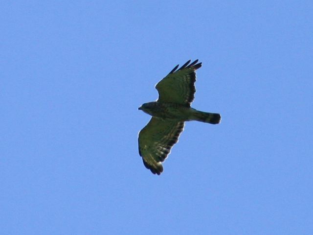 2004-07-02-045.jpg