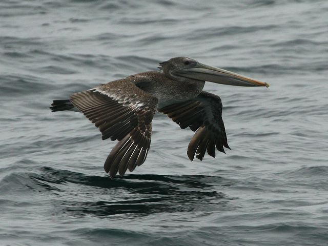 2006-08-08-156.jpg