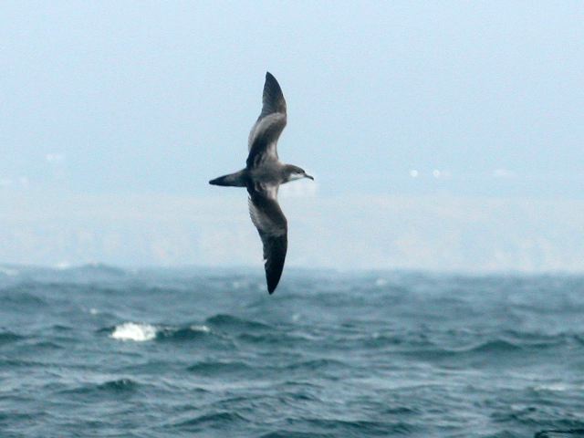 2006-08-07-145.jpg