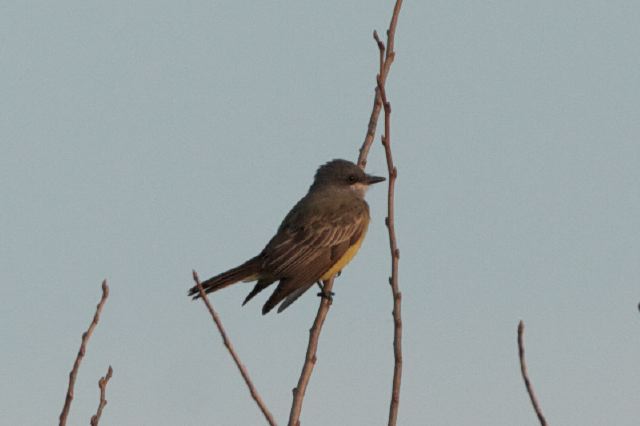 2011-11-04-554.jpg