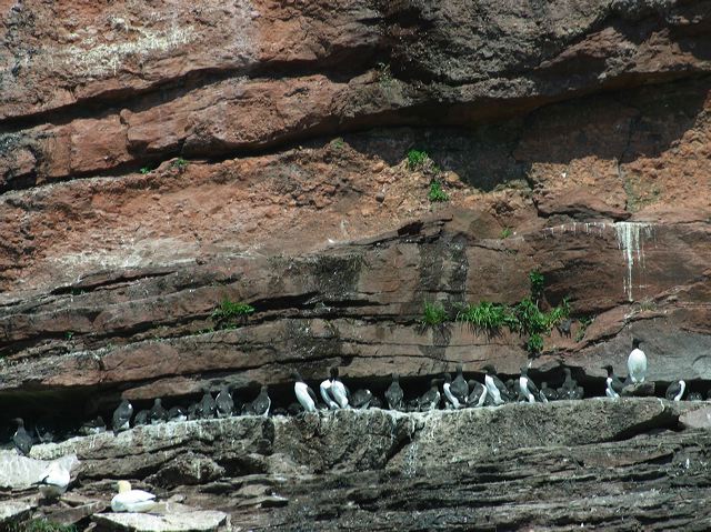 2005-07-01-308.jpg