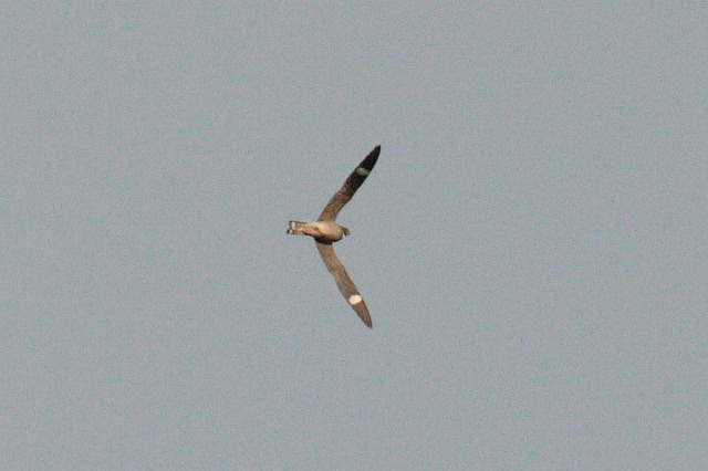 2008-05-04-382.jpg