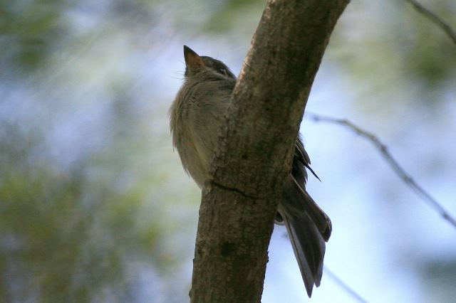 2010-09-06-337.jpg