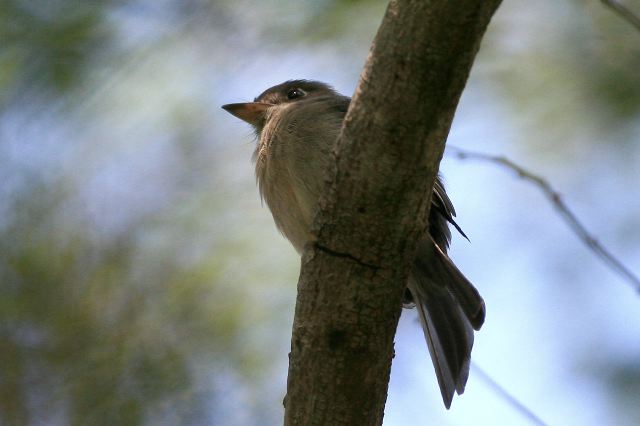 2010-09-06-343.jpg