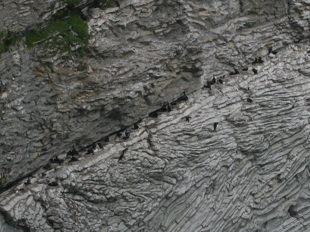 2005-07-04-130.jpg