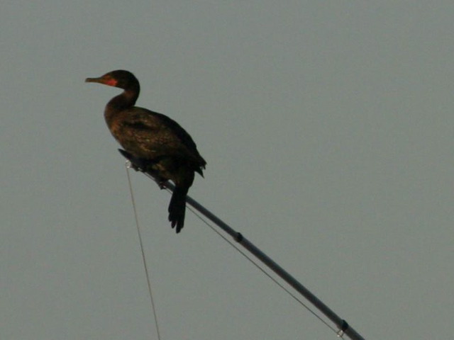2005-09-03-182.jpg