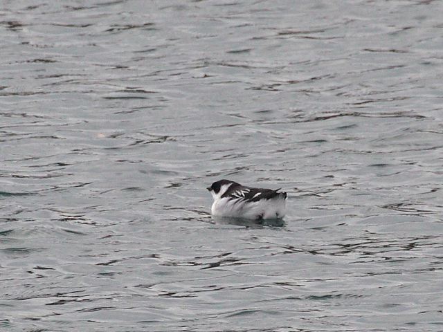2008-01-01-0005.jpg