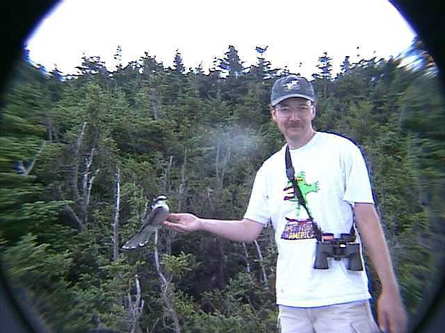grayjayrich004.jpg