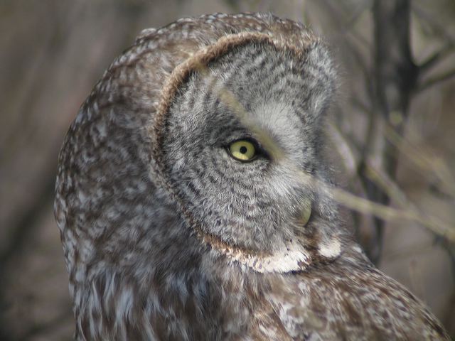 2005-03-02-104.jpg