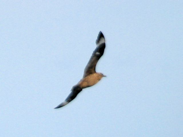 2003-10-01-228.jpg