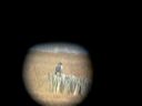 click thumbnail to load image