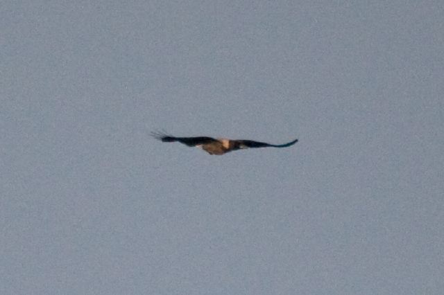 2011-07-02-146.jpg