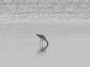 click thumbnail to load image