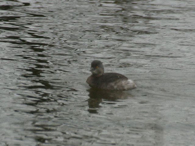 2004-11-07-28.jpg