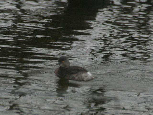 2004-11-07-31.jpg