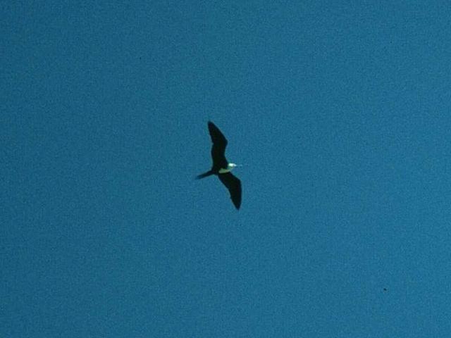027_27a.jpg