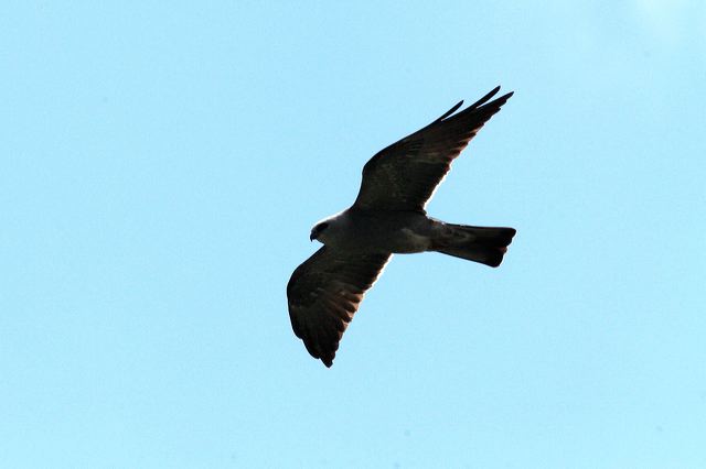 2008-06-02-391.jpg