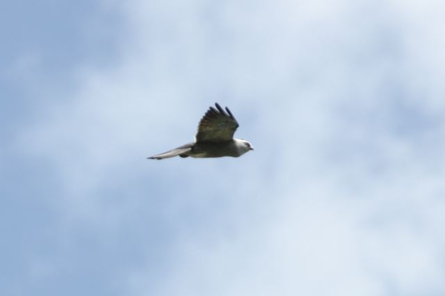 2008-06-02-435.jpg