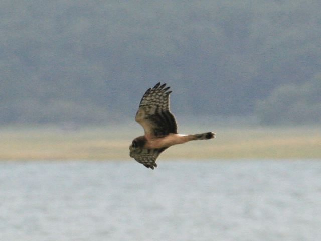 2007-09-02-0355.jpg