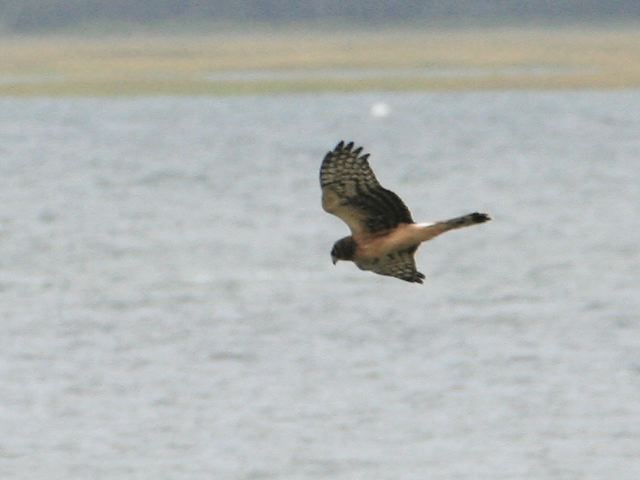 2007-09-02-0357.jpg