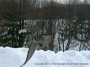 click thumbnail to load image