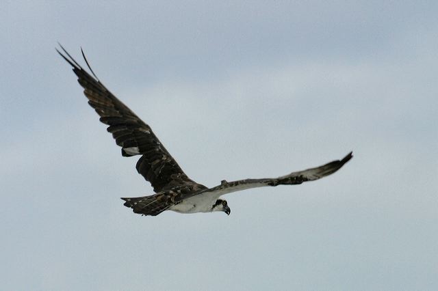 2005-09-05-115_1.jpg