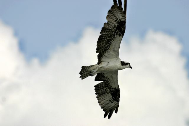 2005-09-05-126.jpg