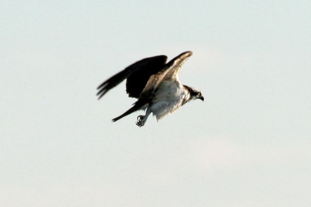 2006-09-07-074.jpg