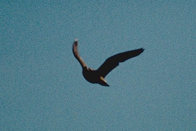 img0019.jpg